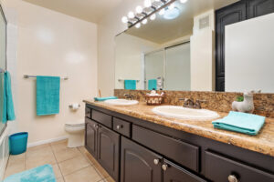 restroom double sink vanity