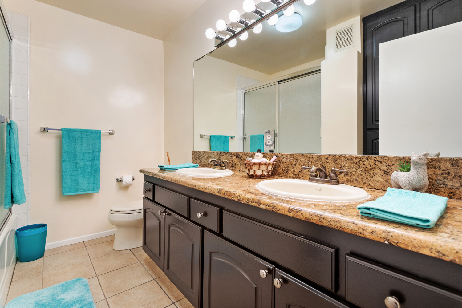 restroom double sink vanity